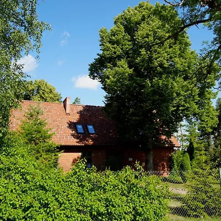 Klonowka Zawada (Chojnice)