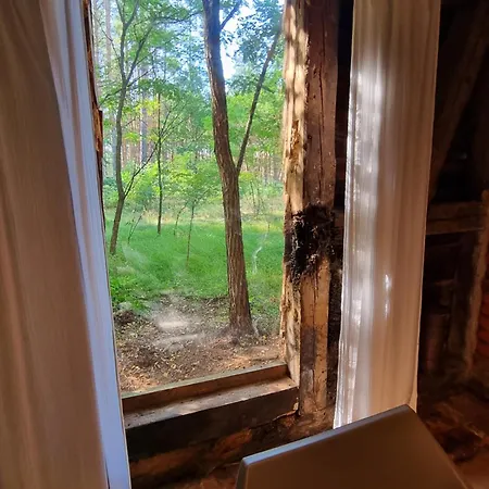 Farm stay Klonowka