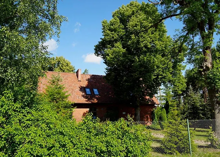 Klonowka Zawada (Chojnice)